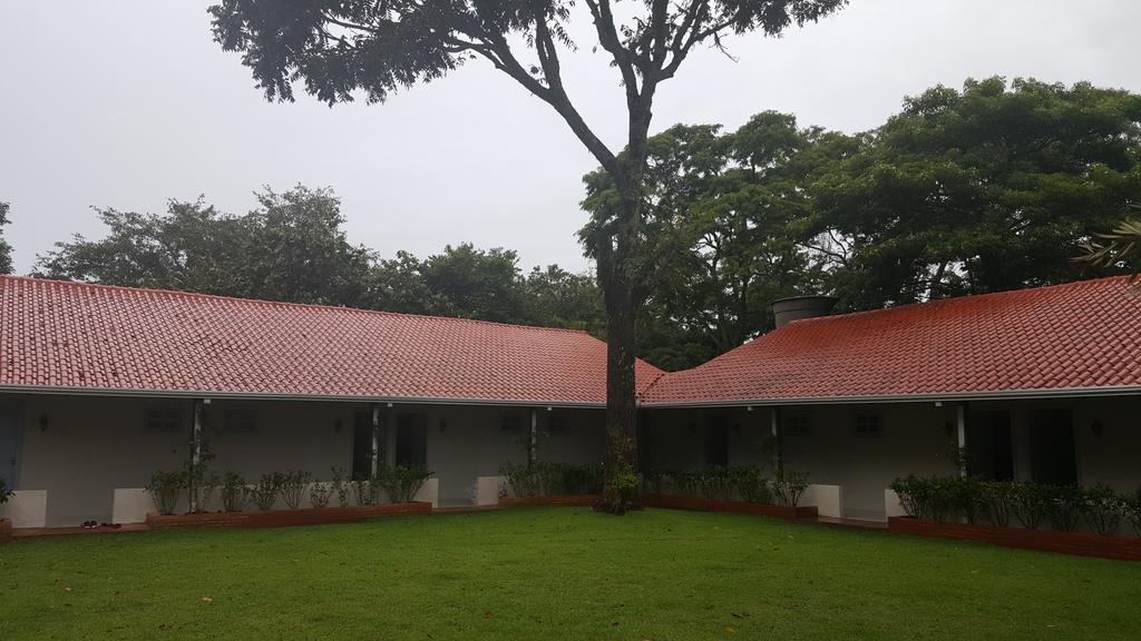 Bosque Da Neblina Chapada dos Guimarães Exterior foto